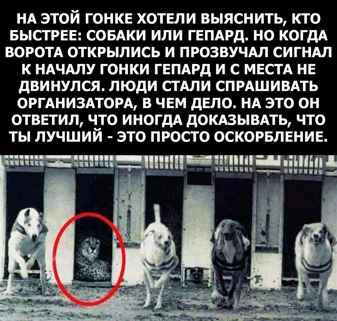 Докажи мем. На всякий случай напоминаю. Цитаты он мне нужен. Красоту видно разум слышно доброту чувствуешь. Напомнить доказывать.