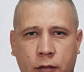 Владимир, 38 лет, Краснодар