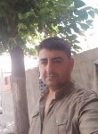 Serdar Demir, 31 год, Mersin