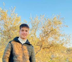 محمود, 18, Ramallah