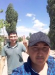 Dima, 31 год, Toshkent
