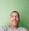 الفهد الاسمر
