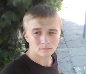 ВЛАДИМИР, 24 года, Саратов
