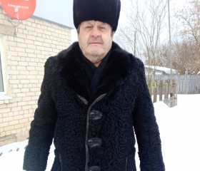 Виктор, 71 год, Нижний Новгород