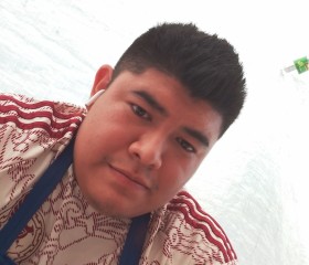 Osvaldo, 26 лет, México Distrito Federal