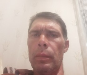 Алексей, 46 лет, Унеча