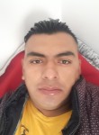 Erick, 36 лет, Santiago de Querétaro