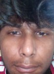 zeeshan, 20 лет, Bikramganj