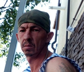 Анатолий, 48 лет, Курск