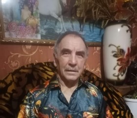 Виктор, 71 год, Ульяновск
