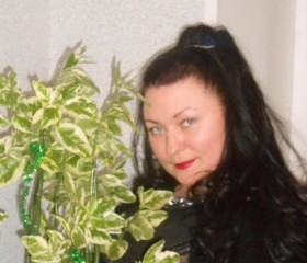 Ксения, 44 года, Сыктывкар