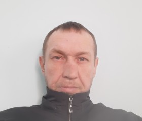 Владимир, 46 лет, Екібастұз