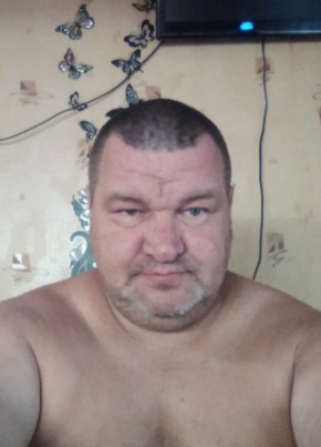 Алексей , 48, Россия, Серебряные Пруды