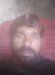Dharmveer Shaikh, 30 лет, Panipat