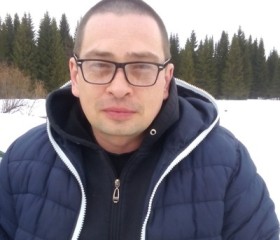Сергей, 45 лет, Александровск