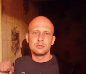 Ярослав, 42 года, Курск