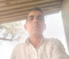 Manjeet .singh, 42 года, Delhi