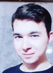 Алексей, 28 лет, Донской (Тула)