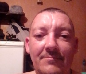 komar, 41 год, Димитров