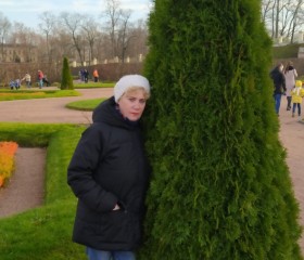 Светлана, 61 год, Ломоносов