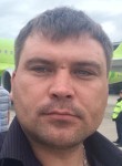 Александр, 42 года, Зарайск