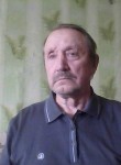 Владимир Никонов, 73 года, Самара