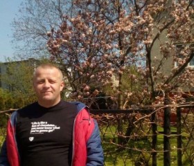 Дмитрий, 43 года, Klaipėda