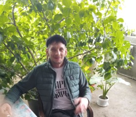Дмитрий Юшкевич, 42 года, Васюринская