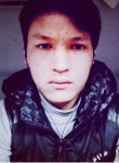Арман в сокулук, 25 лет, Бишкек