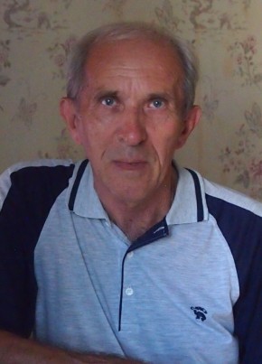 александр, 71, Россия, Воронеж
