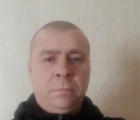 Николай, 47 лет, Дубровка