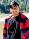 Rizwan, 18 лет, لاہور