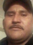Arturo, 51 год, Danville (State of California)