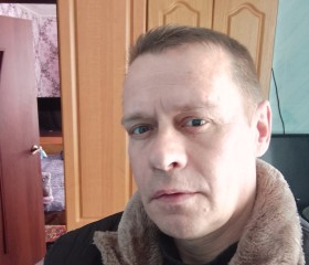 Виталий, 49 лет, Железногорск (Курская обл.)