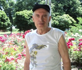 лев, 76 лет, Кропоткин