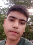 Pranjal Choubey, 20 лет, Garwa