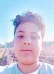عبدالله ابراهيم, 18 лет, دكرنس