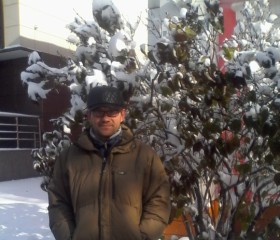 Андрей, 54 года, Барнаул