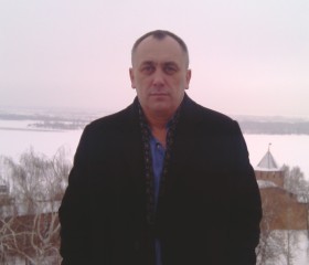 Сергей Вишенов, 51 год, Нижний Новгород