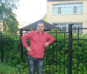Владимир, 54 года, Сердобск