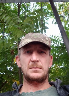 Dmitriy, 41, Russia, Alekseyevka