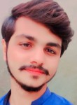 Shoaib, 19 лет, شاہكوٹ