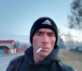 Александр, 43 года, Алтайский