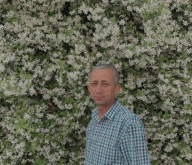Mustafa Kaya, 45 лет, İzmir