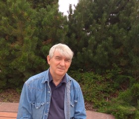 Vladimir, 77, Inta