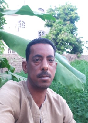 Tarek, 42, جمهورية مصر العربية, الأقصر