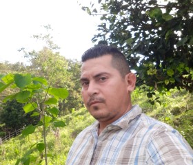 Daniel Gutierrez, 38 лет, San Pedro Sula