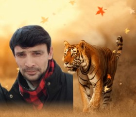Назир, 32 года, Ярославль