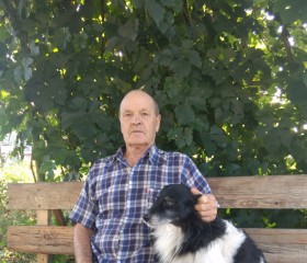 Иван, 72 года, Нижнекамск