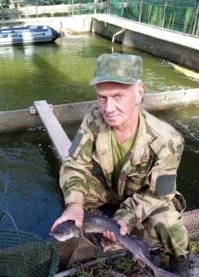 Николай, 61, Россия, Сестрорецк